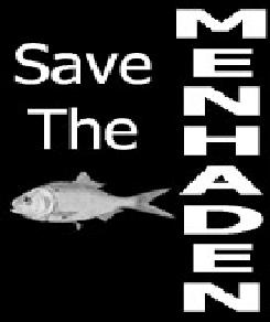 Save the Menhaden